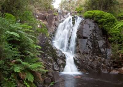 Waterfall cascading down a rocky face surrounded by lush green ferns and trees.