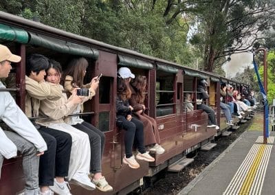 Red tourist train passing through a forest with seated passengers