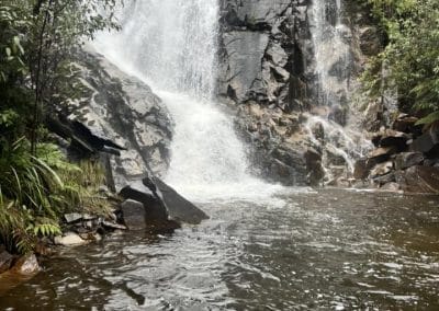 Waterfall cascading down a rocky face surrounded by lush green ferns and trees.