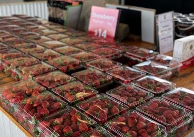 Strawberries in plastic boxes on a counter