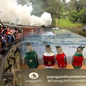 Composite image of a steam train with passengers and a display of penguins in sweaters.