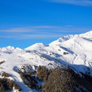 Melbourne: Ultimate Mount Baw Baw Snow Private Tour Experience