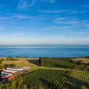 Private Bellarine Peninsula Wine, Cider & Craft Beer Tours